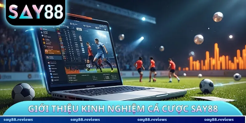 Giới thiệu kinh nghiệm cá cược Say88