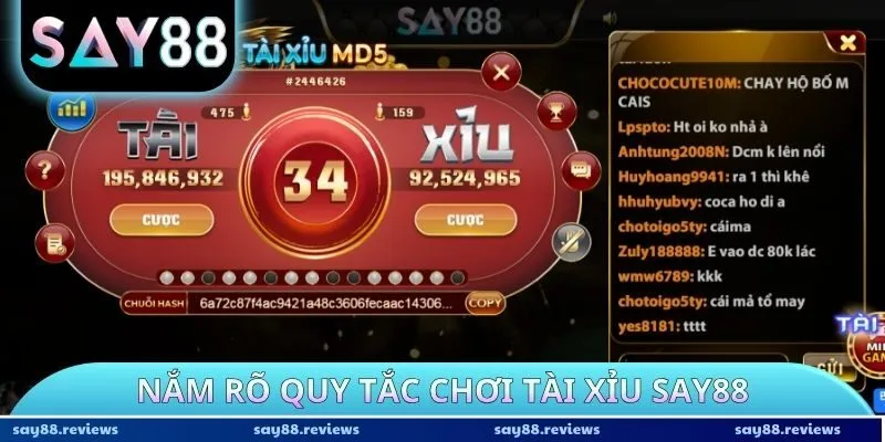 Nắm rõ quy tắc chơi Tài xỉu Say88