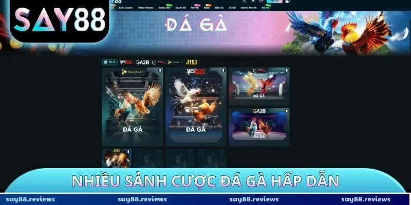 Nhiều sảnh cược đá gà hấp dẫn